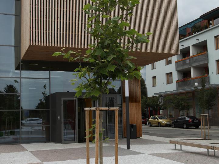 Dobrichovice