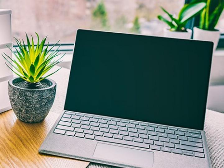 Homeworking_plant
