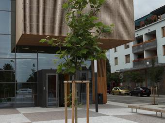 Dobrichovice